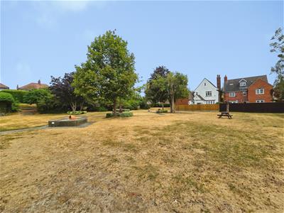 Picture 19